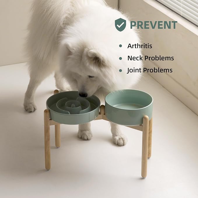 Havniva Elevated Slow Feeder Dog Bowls, Ceramic Dog Bowl Slow Feeder Set | 3.2 Cups Raised Slow Feeder Dog Bowl for Large Breed, 8.2” Dog Water Bowl with Wooden Stand, Puzzle Dog Food Bowl, Non-slip