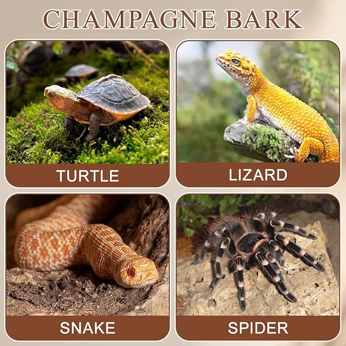 BESPORTBLE 4PCS Reptile Bark Decor Wood, Bearded Dragon Tank Accessorie Cork Hides Flats for Lizard Geckos Tortoise Terrarium Aquarium, Water Cork Tube Decor Random Shape Size 8-14cm