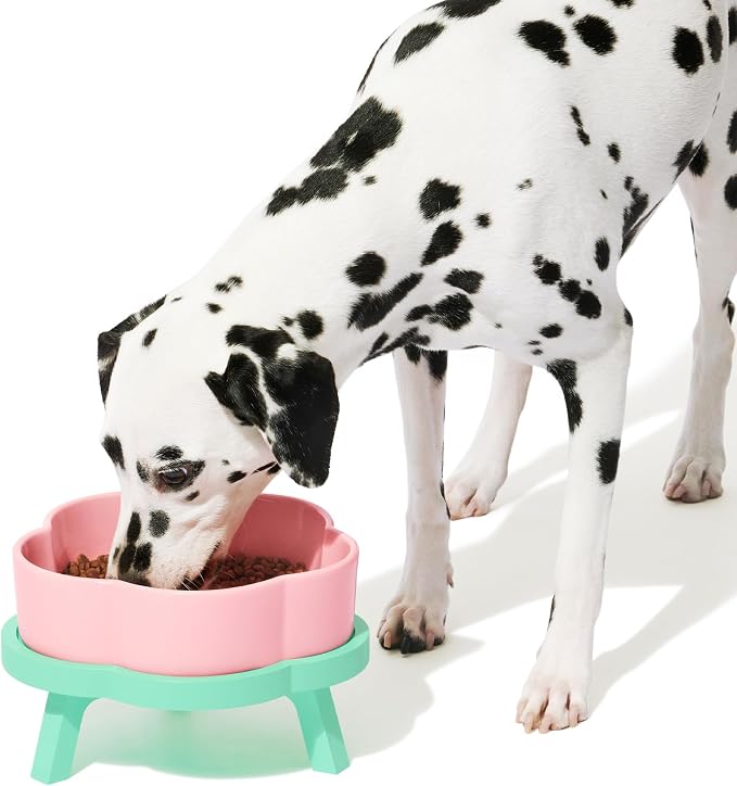 VETRESKA Elevated Dog Bowls Large, 64 oz Ceramic Raised Dog Bowl | Flower-Shaped Food Water Bowl with Bamboo Stand, Pet Feeding Dish Bowls for Medium/Large Dogs and Cats
