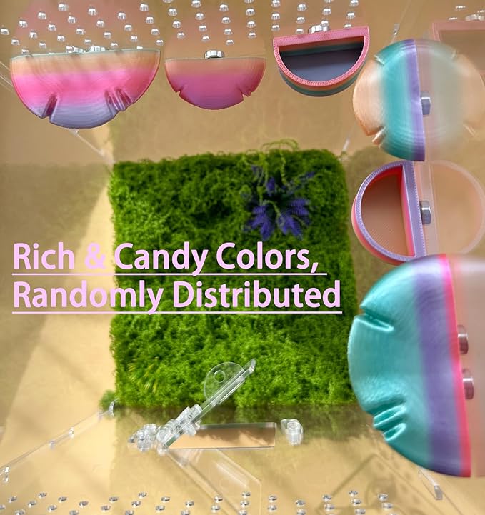 2 Pack Jumping Spider Accessories Mushroom Ledges & 1 Pack Water Bowl with Magnets for Spoods Jumping Spiders Magnetic Ledge Ladder Pet Spider Accessories (Not Included The Terrarium) (colorful)