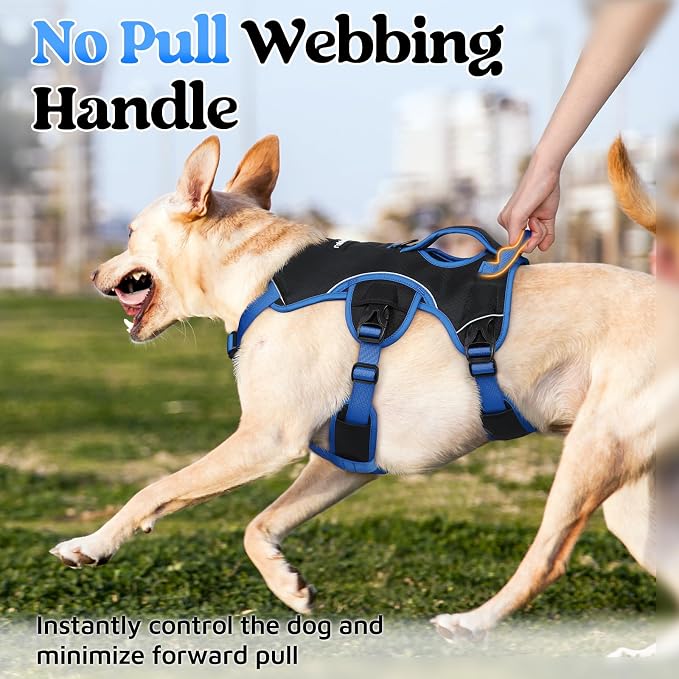 rabbitgoo Escape Proof Dog Harness for X-Large, No Pull with Lift Handle | No Escape, Full Soft Padded, Reflective Adjustable Vest, Leash Clip for Walking Hiking Training, Blue & Black, X-Large