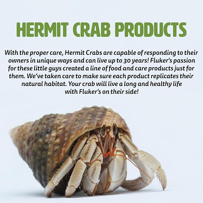 Fluker's Rock Bowl, Food & Water Dish for Hermit Crabs, Medium 6" (Pack of 2)