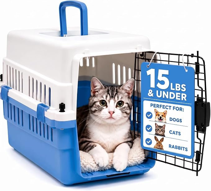 Hard-Sided Pet Carrier for Cats and Small Dogs, 20" Sturdy Travel Kennel with Secure Wire Door & 360° Ventilation, Portable Plastic Crate for Vet Visits & Car Travel (White/Blue)