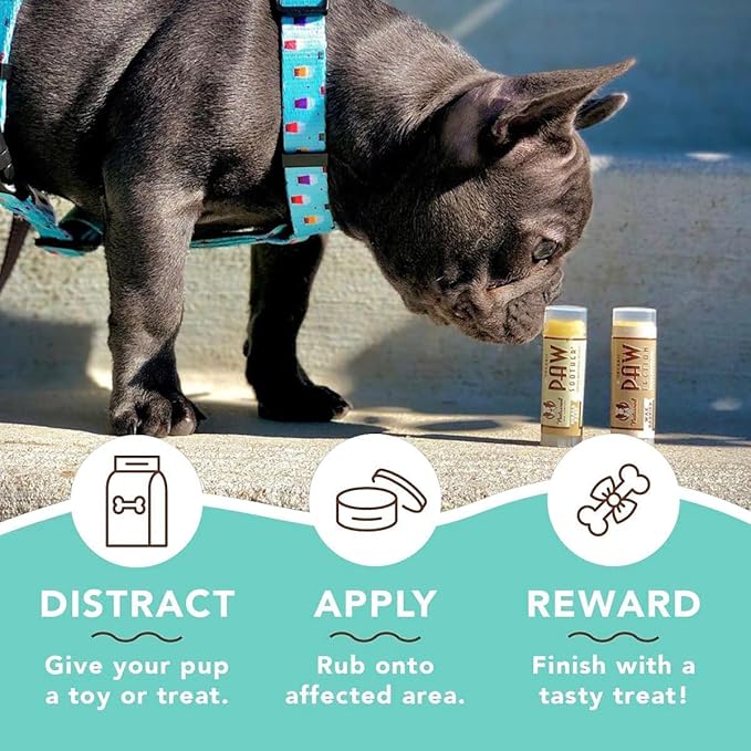 Natural Dog Company Powerhouse Bundle, Includes 5 Healing Balms That Relieve Skin Irritations, Cracked Paws and Dry Noses, Organic, All Natural Ingredients, 5 X 0.15oz Travel Sticks