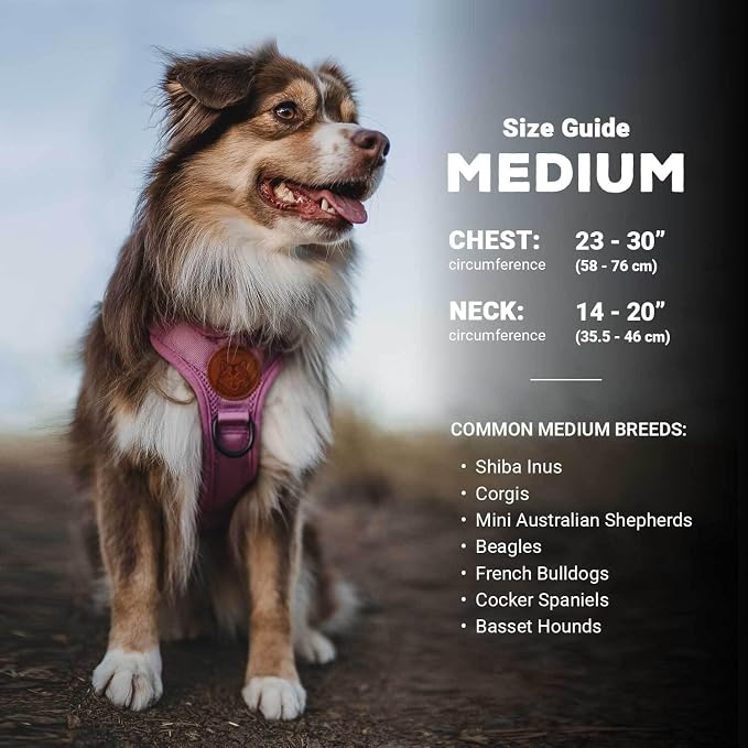 Wilderdog Lightweight Dog Harness with Reflective Straps - Medium - Sienna