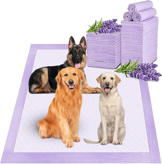 Boscute Lavender Scented Thicken 6 Layers Heavy Absorbent 30"x36" Pet Training Dog Pee Pads, Extra Large Polymer Leak-Proof Quick Dry Puppy Pee Pads, Disposable Pee Pads for Dogs Cats Rabbit 45Counts | Heavy Absorbent up to 7 Cups, Quick Dry, for Dogs ...
