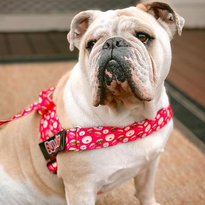 Adjustable Dog Harness– No Pull, No Choke – for English Bulldogs, French Bulldogs, Pugs & Broad-Chested Breeds – Easy, Safe Walks (Donuts, Medium)