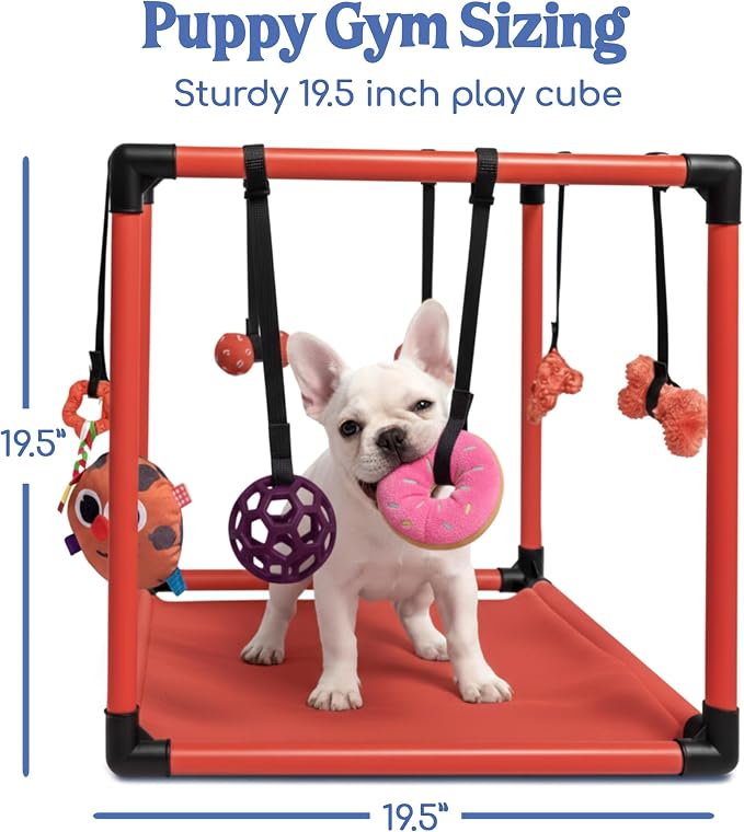 Race&Herd 19.5" Puppy Play Gym — Small Dog Jungle Activity Mat (Cherry) | Dog Play Mat with 8 Bungee Straps, Interactive Puppy Active Toys — Indoor Enrichment Playground Set