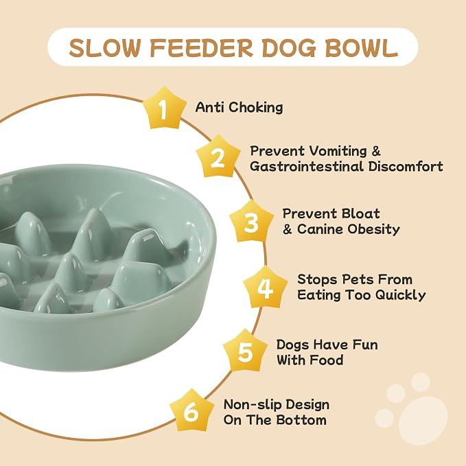 Havniva Elevated Slow Feeder Dog Bowls, Ceramic Dog Bowl Slow Feeder Set | 0.9 Cups Raised Slow Feeder Dog Bowl for Small Breed, 6.1” Dog Water Bowl with Wooden Stand, Puzzle Dog Food Bowl, Non-slip