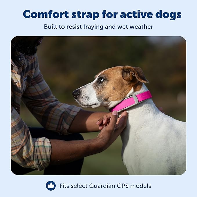 PetSafe Replacement Strap for Guardian GPS + Tracking Dog Fence Collar & Guardian GPS Dog Fence Collar - Soft Touch Material - Waterproof Material - Adjustable - Durable Design - Pink