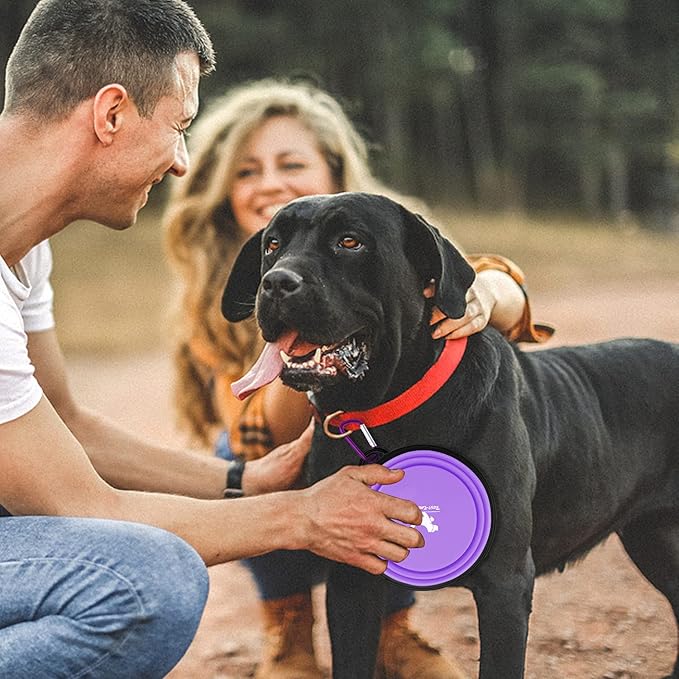 Collapsible Dog Bowls for Travel, 2-Pack Dog Portable Water Bowl for Dogs Cats Pet Foldable Feeding Watering Dish for Traveling Camping with Carabiners, BPA Free (Purple&Pink, Large)