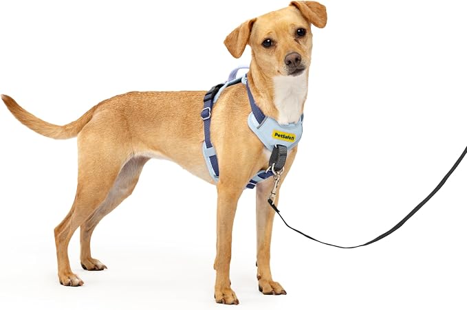 PetSafe Easy Walk Comfort No Pull Dog Harness, Blue, Extra Small | Stops Pulling on First Use with Front Martingale Loop, Full-Body Padding, 5-Point Adjustable Fit