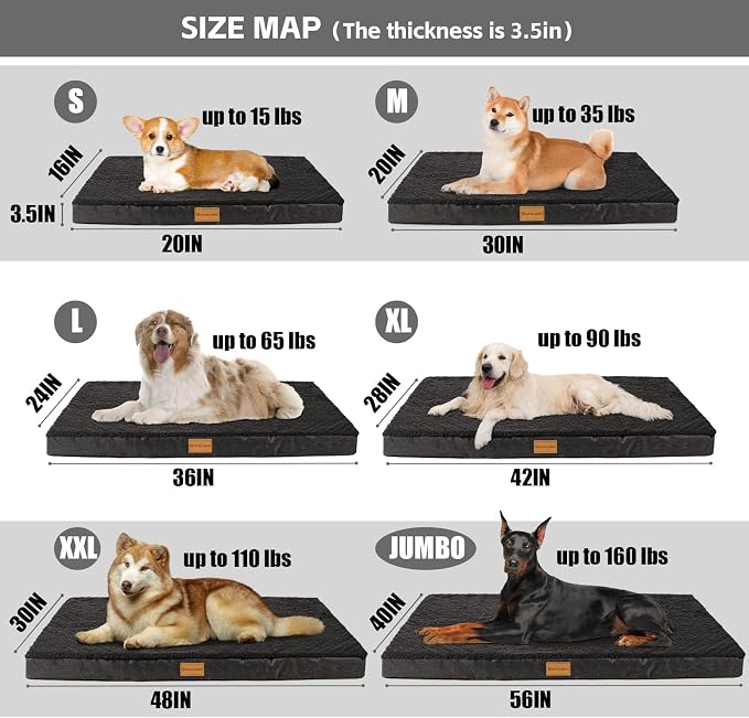 Patas Lague Orthopedic Large Dog Bed Washable Pet Sofa Mat 36''X24'' Black | Egg-Crate Foam Dog Couch For Large Sized Dogs, Waterproof Removable Cover, Soft Pet Crate Bed With Nonskid Bottom