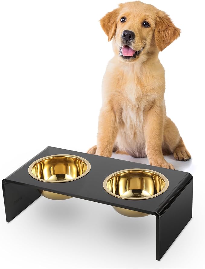 DBL2000B Keaton 5" Small/Medium Modern Lucite Rectangular Elevated Pet Feeder with 20oz 2-Stainless Steel Bowls, Black/Gold