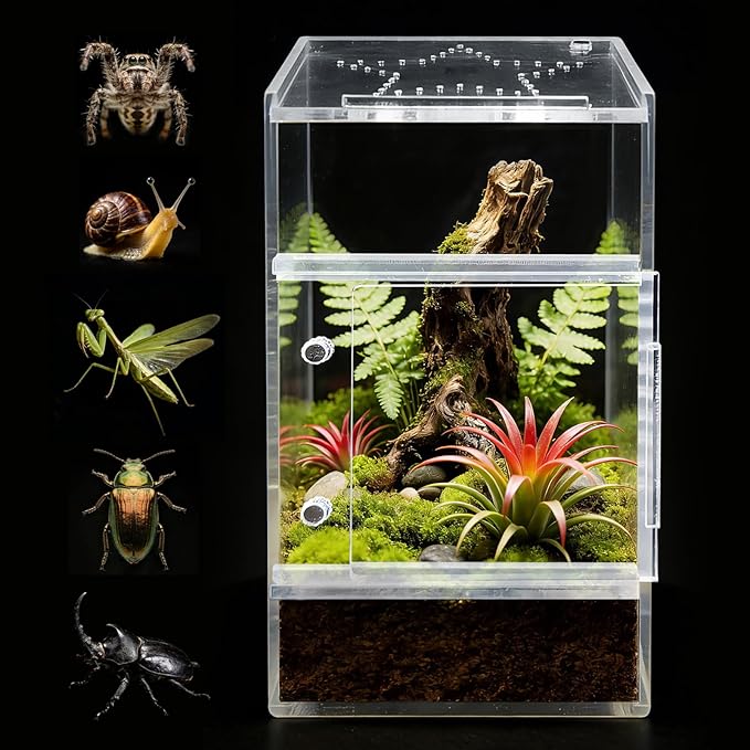 Jumping Spider Enclosure, Small Acrylic Spider Terrarium, Tarantula Spider Box, Magnetic Front & Top Opening, Bug Habitat for Jumping Spiders, Tarantulas, Praying Mantis, Snails