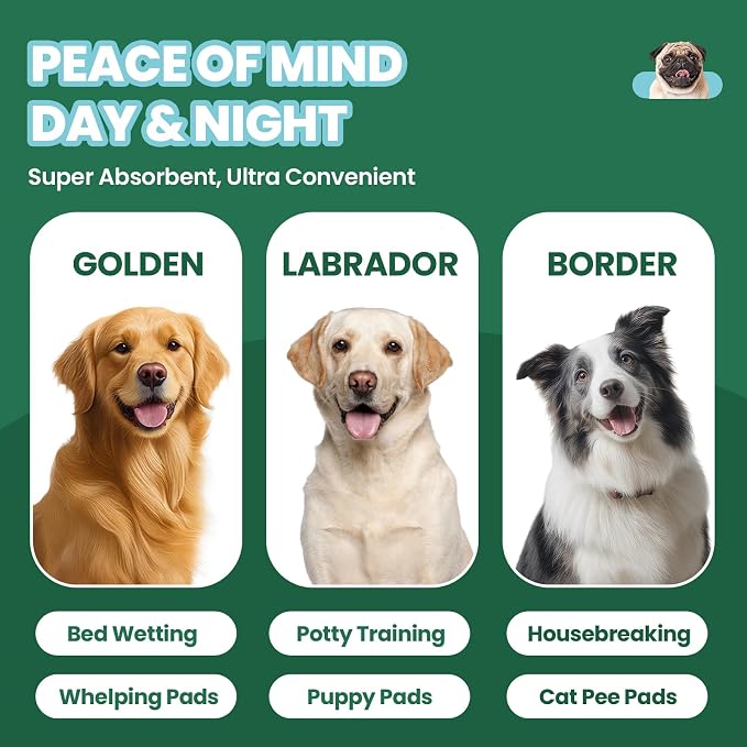IMMCUTE 100 Pack Dog Pee Pads, 30"x36" Great Value Puppy Pads XL, Pee Pads for Dogs Extra Large, Wee Wee Pads for Potty Training, Disposable Doggie Pads Super Absorbent & Leak-Proof