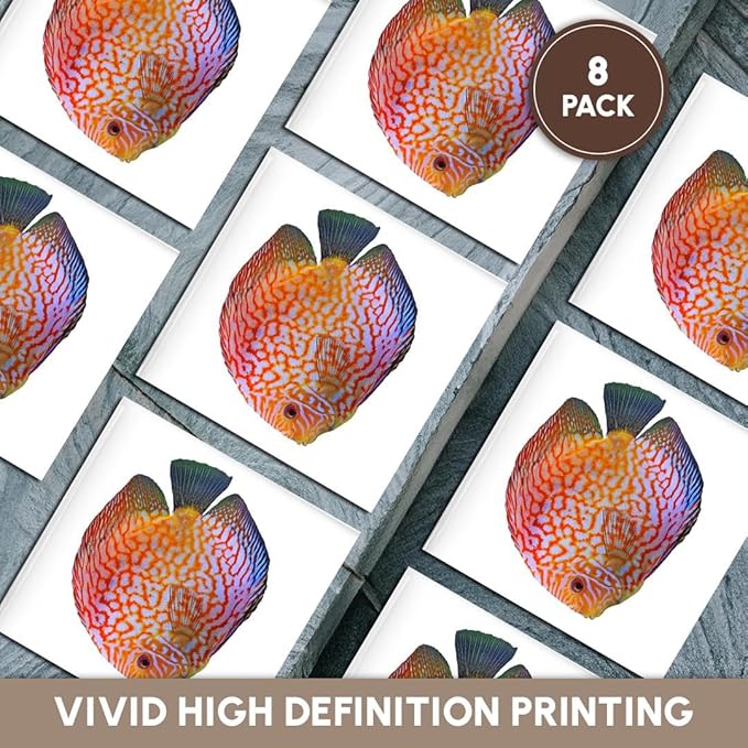 3dRose King of The Aquarium Discus Fish Image Wildlife Set of 8 Ceramic Tile Coasters
