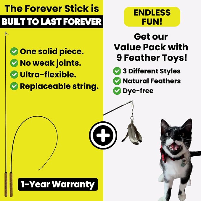 Forever Stick and 9 Cat Feather Toy Refills - The Unbreakable Cat Wand Toy, Durable Cat Toy Wand, Extra Long Cat String Toy, Cat Fishing Pole Toy for Bored Indoor Adult Cats, Cat Stick Toy