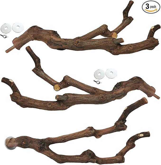 kathson Natural Parrot Perch Bird Stand Pole Wild Grape Stick Paw Grinding Fork Parakeet Climbing Standing Branches Toy Chewable Cage Accessories for Small Budgies Cockatiels Lovebirds 3PCS