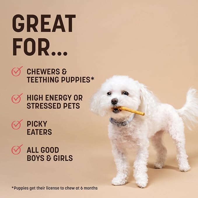 Earth Animal No Hide Stix - Small Dog Chews 20 Count Strawberries & Cream | Small Sticks Strawberries & Cream Flavored Natural Rawhide Free Long Lasting Dog Chews - Treats for Small Dogs and Cats