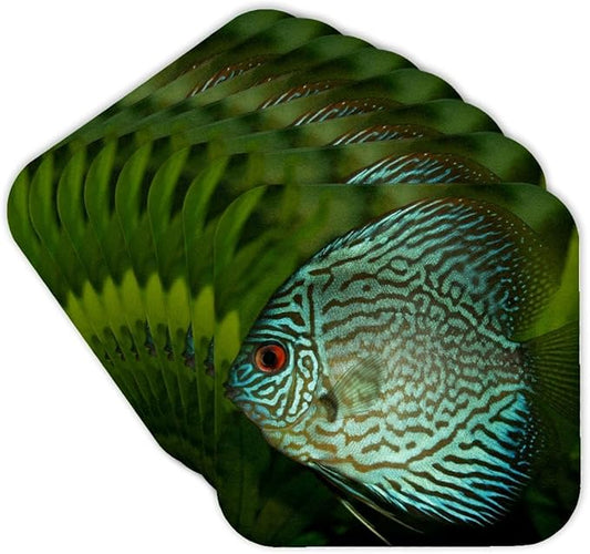 3dRose Blue Exotic Discus Fish Set of 8 Coasters - Cork
