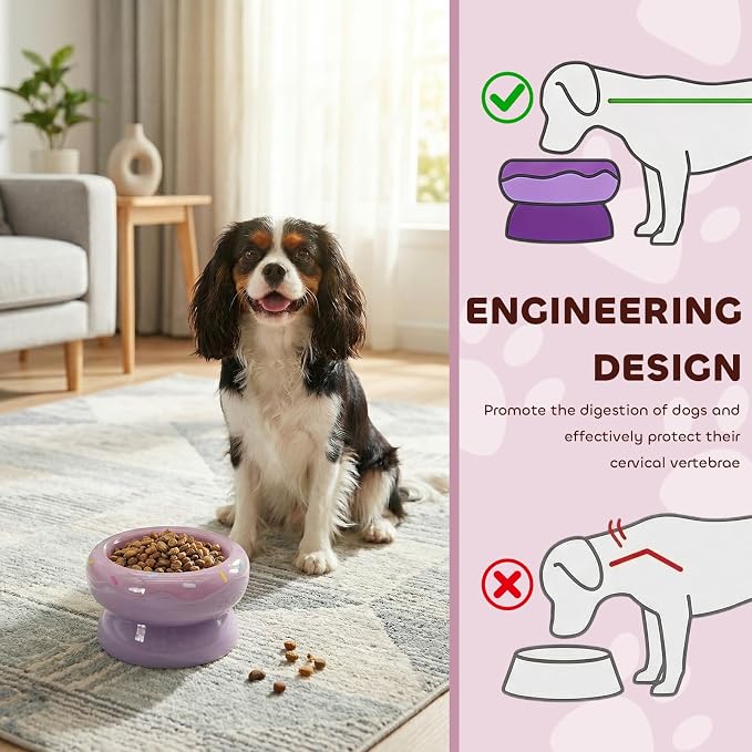 Donut Duo Ceramic Dog Bowl, Dog Water Bowl and Dog Food Bowl, Pet Bowls (Purple)