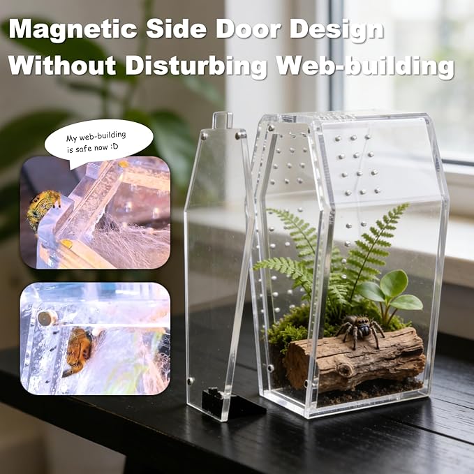 Jumping Spider Enclosure Jumping Spider Enclosure Kit Desktop Habitat Small Reptile Glass Terrarium Insect Accessory Set with Water Container Hiding Area(Blue)