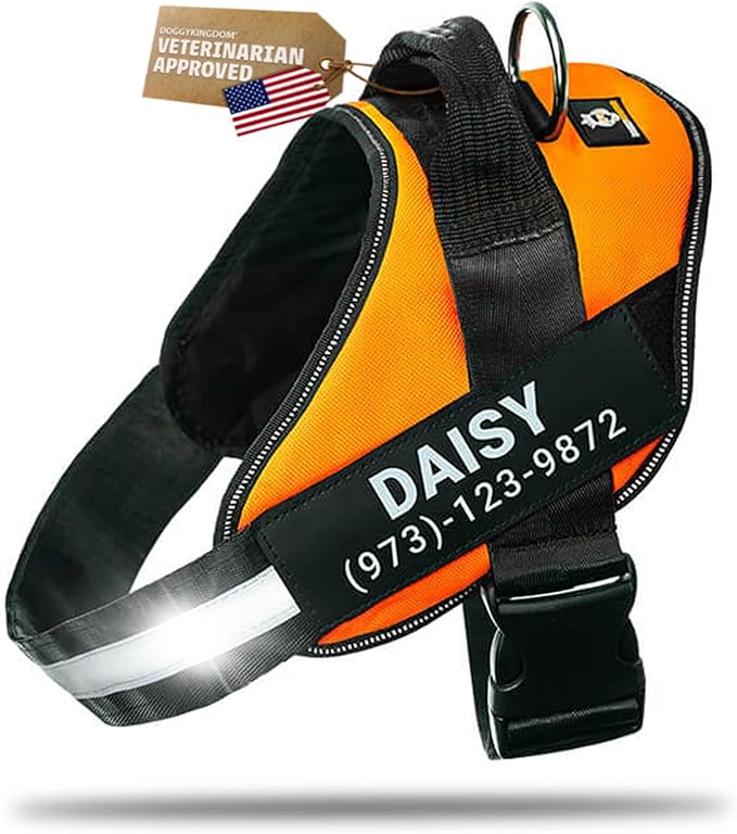 Personalized Dog Harness with Custom Name Patches, Adjustable Reflective No Choke Dog Vest with Handle for Small Sized Dog, Orange, S