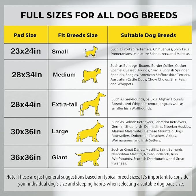 CROCI Charcoal Pee Pads for Dogs Odor Control Leak Proof XXL 30x36in 40Ct | Super Absorbent Dog Pee Pads with Adhesive Tabs, Heavy Duty, Dog Potty Training, Quick-Dry Surface, Disposable