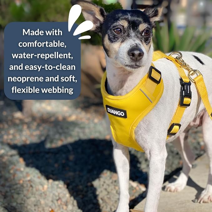 Adventure Dog Harness - Stylish Small Dog Harness for Outdoor Adventures and Everyday Wear - Dandelion Yellow Neoprene Adjustable Harness for Dogs with Reflective Piping and Solid Brass D-Ring