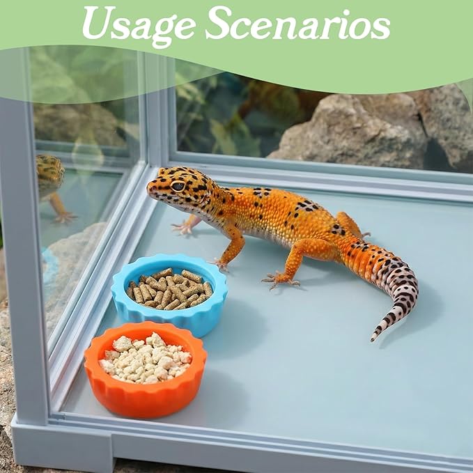 9 PCS Crested Gecko Food and Water Bowl Reusable Small Reptile Feeding Dish Gecko Tank Accessories for Hermit Crab Tarantula Isopods Lizard Easy Clean Silicone 7 Colors Includes Spoon