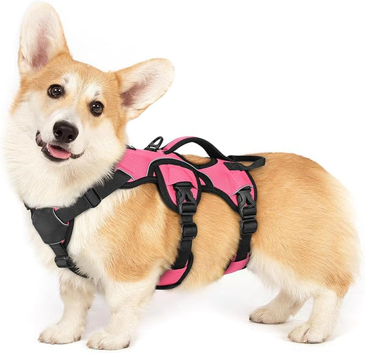 rabbitgoo Escape Proof Dog Harness for Small, No Pull with Lift Handle | No Escape, Full Soft Padded, Reflective Adjustable Vest, Leash Clip for Walking Hiking Training, Peach Pink, Small