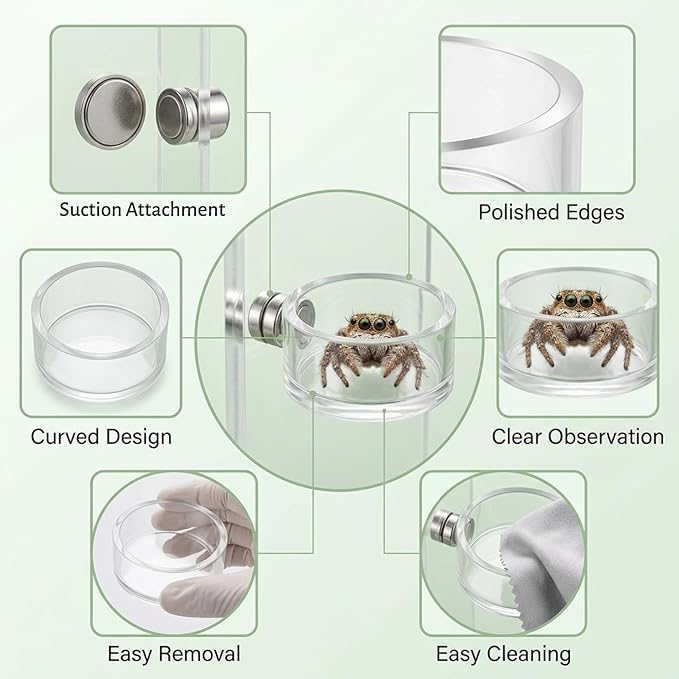 6PCS Jumping Spider Feeding Dish, Magnetic Bowl and Tarantula Water Dish, Magnetic Water Bowl with Tweezers for Small Reptile Enclosures, Jumping Spider Accessories Kit