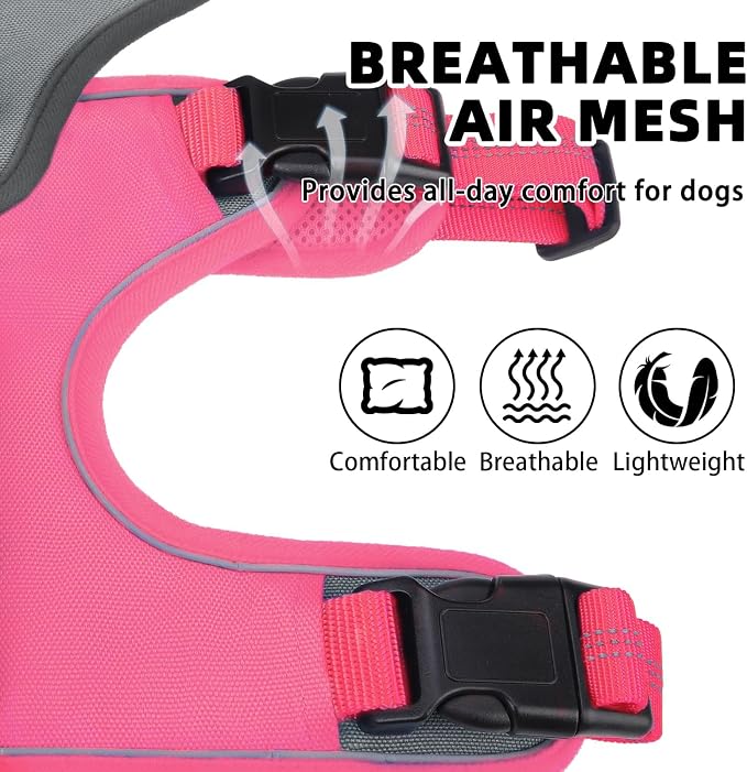 PUPTECK Escape Proof Dog Harness and Leash Set Upgraded No Pull Reflective Dog Vest with Lift Handle, Easy Control Pet Harness for Medium Large Dogs Training Walking Running, Fuchsia, XL