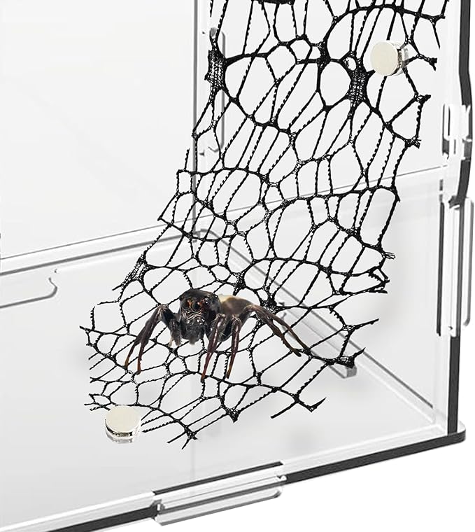 6 Pack Tarantula Enclosure Accessories Jumping Spider Habitat Accessories with 16pcs Magnets Spider Terrarium Decoration Praying Mantis Habitat Jumping Spider Climbing Mesh (Black)