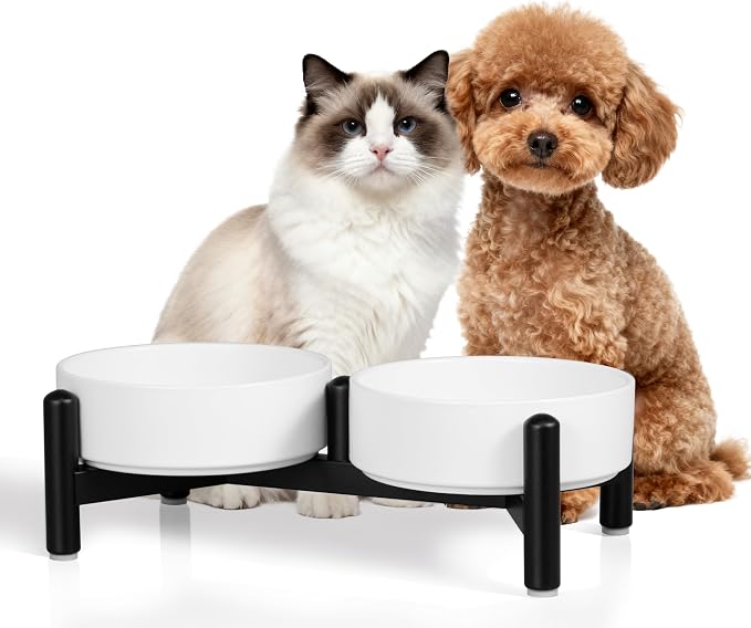 Raised Ceramic Dog Bowl Set with Stand, 2.1 Cups Elevated Dog Food Stand | 6'' Double Dog Food and Water Bowl Set, Non-Slip Dog Feeding Dishes for Small Breeds and Cats, 14 OZ, White