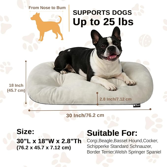 Washable Oval Dog Bedfor Medium Dogs,Silver-Tipped High-Resilience,Beige | Non-Slip Bottom Prevents Sliding, Soft Plush Short Fur, Machine Washable, Ideal for Crates/Apartments/Cozy Nooks,29"x18"x2.8"