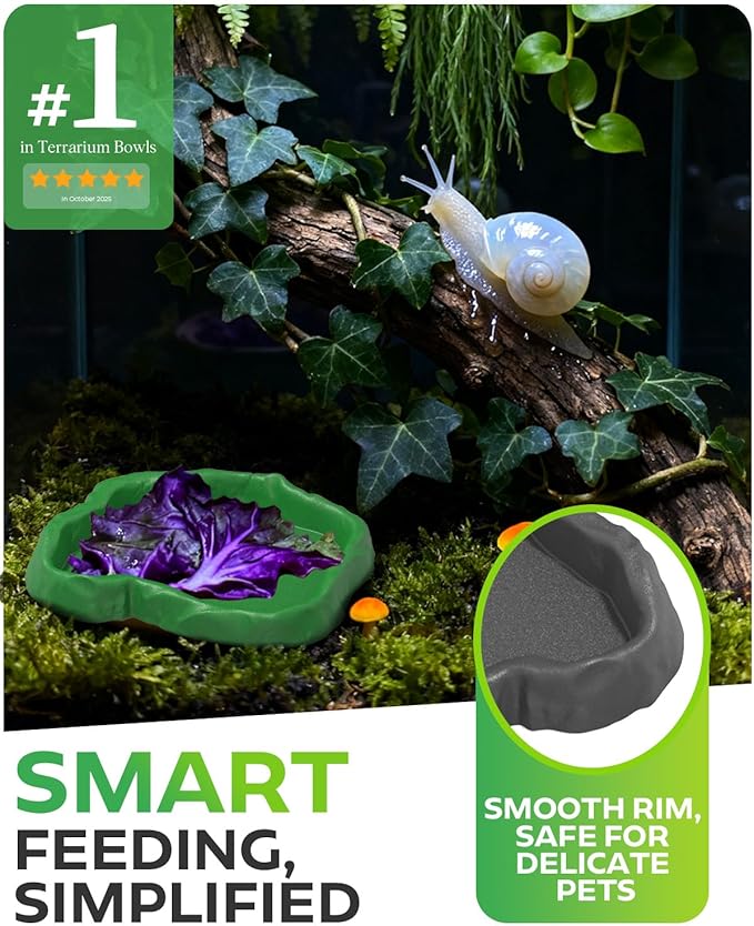 4Pcs Snail Food and Water Bowl, Reptile Water Dish and Food Bowl, Natural Design Terrarium Feeding Dish for Garden Snails, Hermit Crab, Lizard, Frog, Gecko (Black, Green)