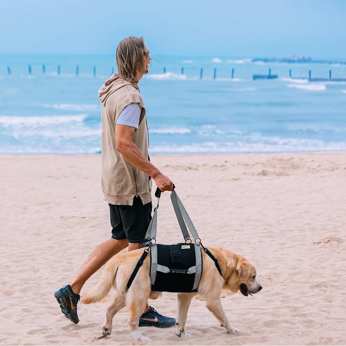 Dog Lift Harness for Large Dogs,Full Body Dog Sling Carrier, Blue, XL | Help Support Big, Elderly Pet with Arthritis, Front/Rear Legs Assistance with Handle, for Lifting Injured Dogs Up Stairs