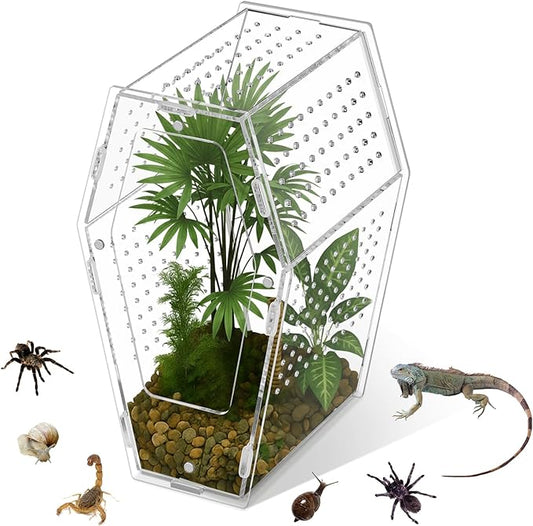 Yalikop Acrylic Jumping Spider Habitat Versatile Reptile Enclosure Transparent Insect Terrarium Habitat for Spiders, Tarantula, Gecko, Chameleon, Beetle, Mantis, and Hermit Crab(Clear,L)