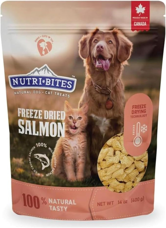 Nutri Bites Freeze Dried Salmon Dog & Cat Treats, 14oz | Healthy Pet Training Treats or Food Topper | All Natural, 1 Single Animal Protein, High Protein