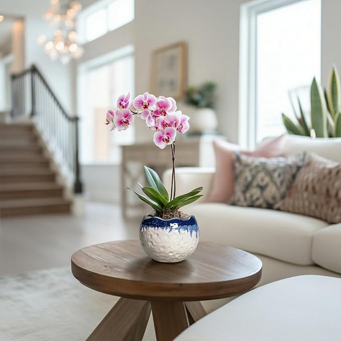 4 Inch Plant Pots - Ceramic Pots for Plants with Drainage Hole and Plug, Round Planters for Indoor Outdoor Plants, Modern Unique Flower Pots, Home Living Room Decor, Garden Gift, Beige-Blue