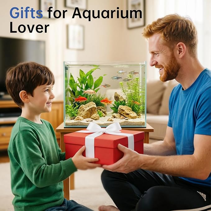 AQQA Automatic Fish Feeder, Auto Fish Feeder with LCD Timer Programmable, 200ML Large Capacity Aquarium Auto Feeder Moisture-Proof Silent, Vacation Fish Feeder for Small Tank Betta Fish Turtle
