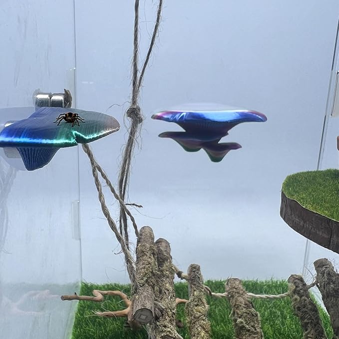 Jumping Spider Mushroom Shelf, Magnetically Concealed Jumping Spider Habitat,Serves As Enclosure Decorate Accessories for Spider Climbing Feeding and Platforms (Gradient)