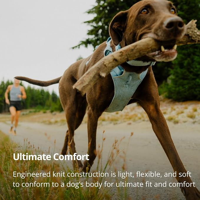 Ruffwear, Front Range Flex Dog Harness, Engineered Knit Construction for Ultimate Fit and Mobility, Lightweight Flexible Everyday Harness with Dual Leash Clips, Deep Teal, Large/X-Large