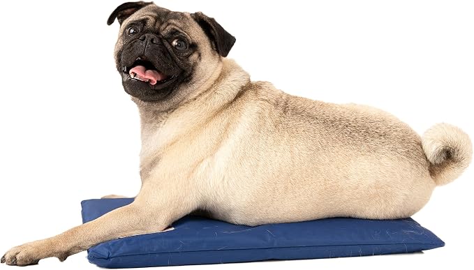 Hydro Cooling Mini Mat for Dogs – Dog Cooling Mat & Cooling Pad for Hot Weather – Triple Layer Ice & Water Cooling System (18" x 10.5")