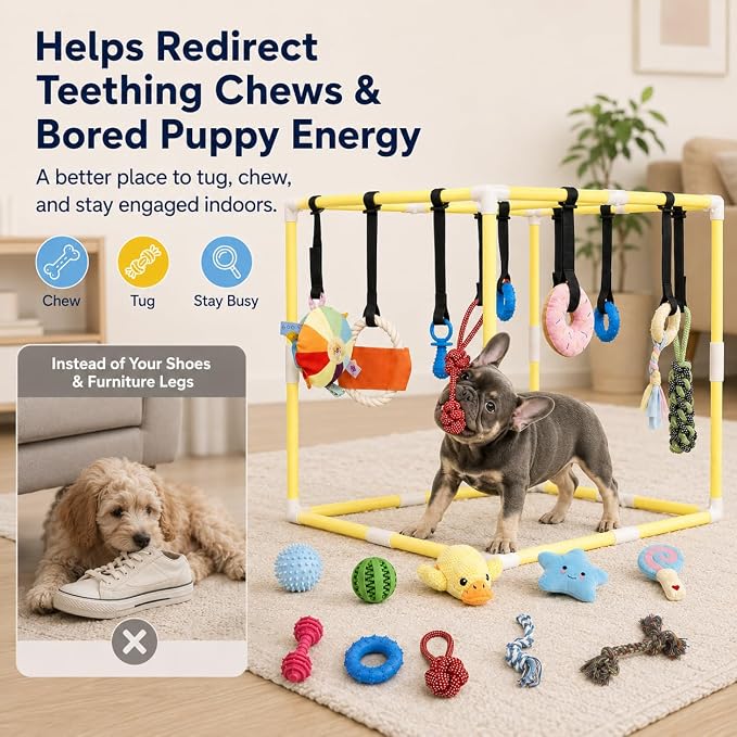 Puppy Play Gym with 17 Hanging Toys, Small Dog Indoor Enrichment Jungle Gym | Interactive Activity Center for Energetic Puppies & Cats, Teething Squeaky Toys, Bungee Straps & 22 in PVC Frame Playground