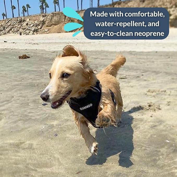 Adventure Dog Harness - Stylish and Comfortable Small Dog Harness for Outdoor Adventures and Everyday Wear - Black Neoprene Adjustable Harness for Dogs with Reflective Piping and Brass D-Ring