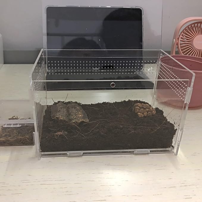 AWXZOM Magnetic Acrylic Case, micro habitat small Tarantula Enclosure enclosure for arboreal Tarantula Scorpion Sling Lizards Mantis Snake Gecko jumping spider snail Insect Isopods (7.8*4.7*4.7inch)