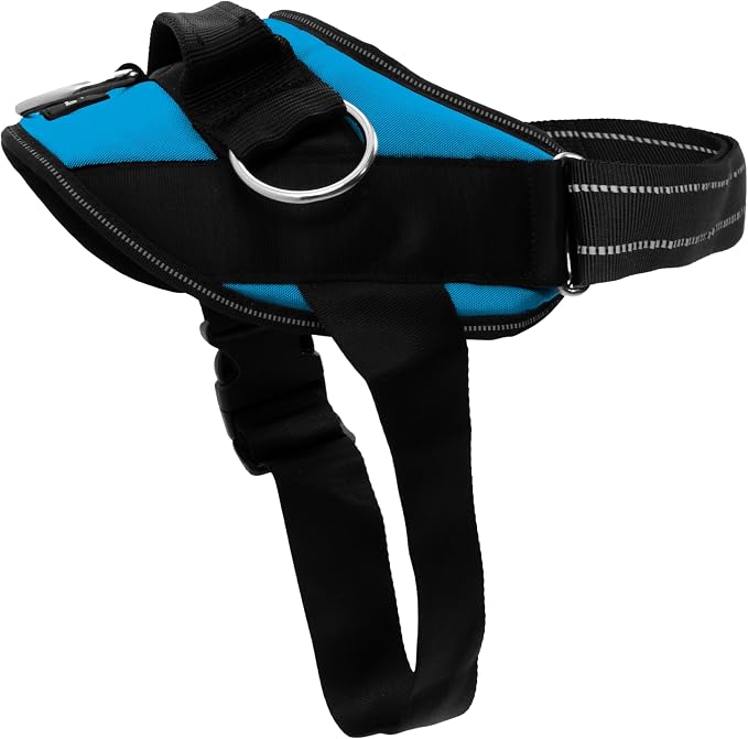 ShawnCo Essential Dog Harness, No-Pull Pet Vest (Oceanic Blue,L) | 3 Leash Clips, Easy On, No-Choke, Reflective, Adjustable Fit, Padded Comfort, Control Handle, For Small, Medium & Large Dogs